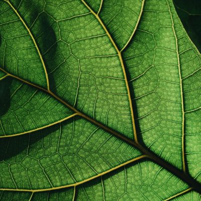 Processed with VSCO with a6 preset